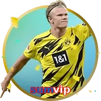 sumvip