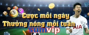 sumvip